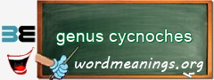 WordMeaning blackboard for genus cycnoches